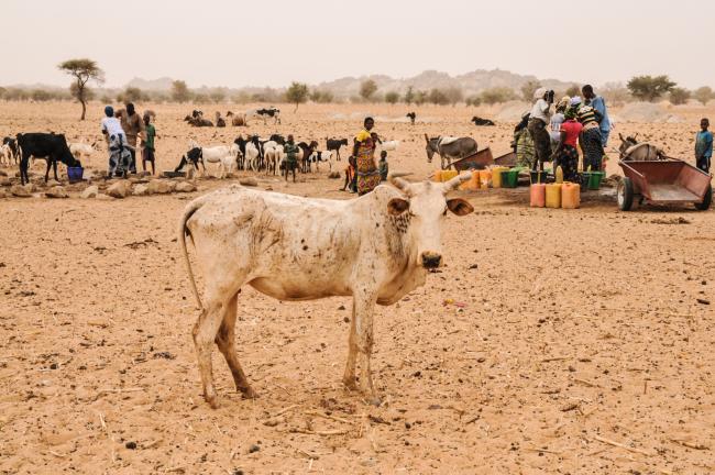Sahel region, Burkina Faso. Photo: IRC