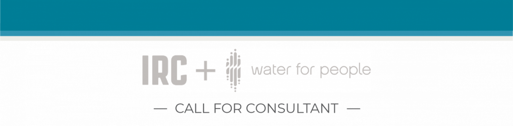 Call for Consultant