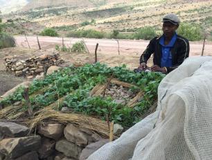 Key Hole Gardening in Lesotho