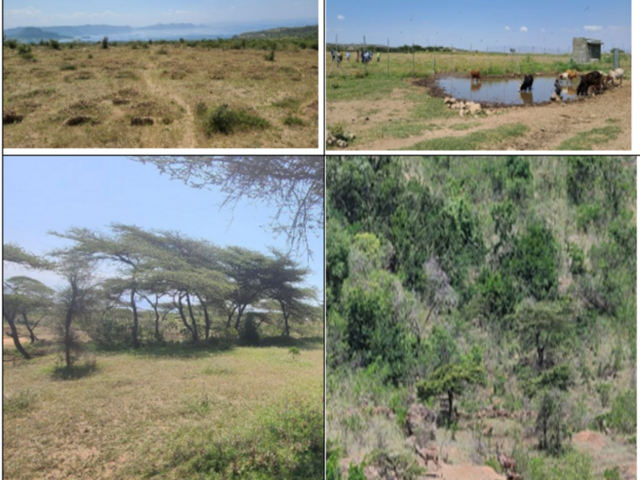 Arjo Gubeta and Sinkile restoration areas [top left picture is new expansion area (before), top righ