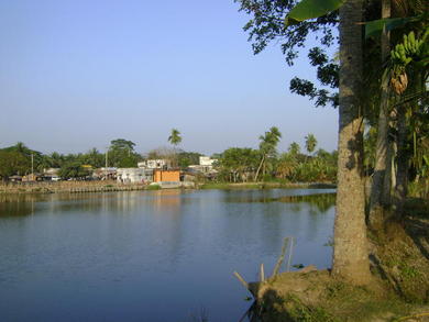 A view of the new latrine from the row of coconut trees that is a site of open defecation